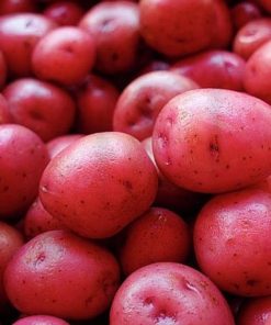 Potatoes,  New Red -1 lb