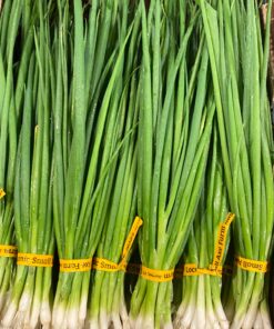 White scallion - bunch