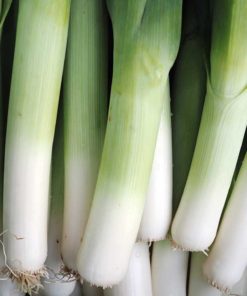 Leeks - bunch