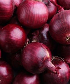 Onions, Red  1# no tops