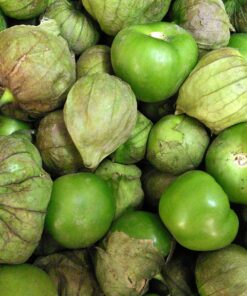 Tomatillo -1#