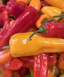 Peppers, Rainbow (sweet) - 1#